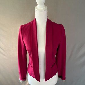 Alyx hot pink blazer - size 4